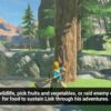 The Legend of Zelda - Breath of The Wild - Screenshot 6