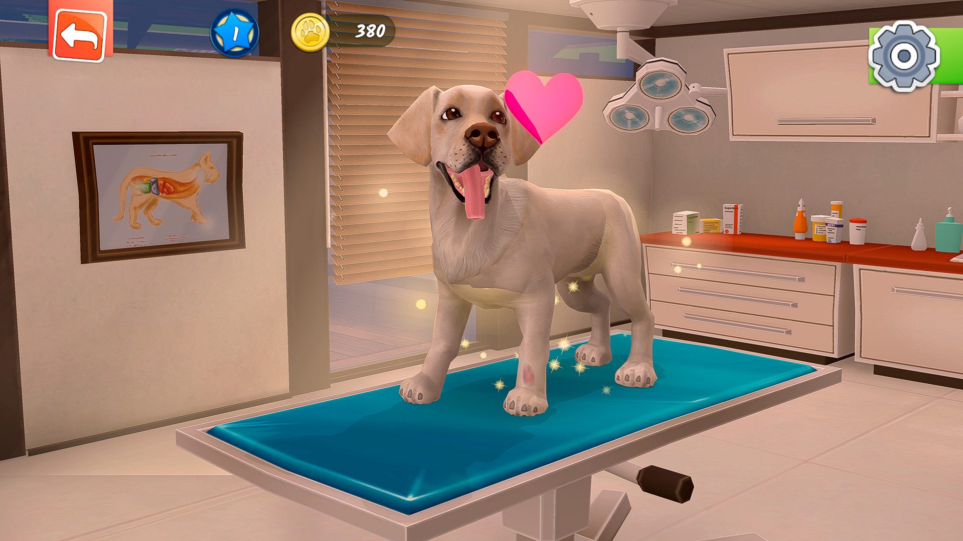 Animal Hospital (PS5) - Maponus Gaming