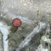 Commandos 2 & 3: HD Remaster Double Pack Screenshot 4