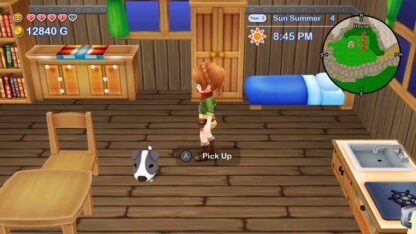 Harvest Moon The Lost Valley & Skytree Village Screenshot 6